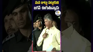 మన జుట్టు పట్టుకుని జగన్‌ ఊగుతున్నాడు - చంద్రబాబు