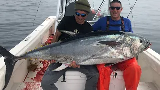 Bluefin Tuna Fishing (Most Expensive Fish that Swims)