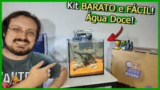 Seu Primeiro Aquário de ÁGUA DOCE! - Kit Barato e FÁCIL!