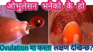 ओभुलेशन भयको कसरी थाहा पाउने ? How to Calculate Ovulation  and that Signs Symptoms.