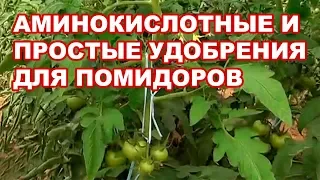 Простые и аминокислотные удобрения для помидоров. Сколько нужно давать? (10-09-2018)