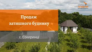 Продаж затишного будинку, с. Сокиринці