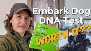 Embark Dog DNA test: Worth It?