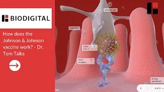 How does the Johnson & Johnson COVID vaccine work? - Dr. Tom Talks