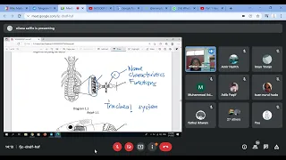 Biology 5D - Revision Exam Sem