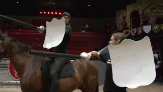 Behind the Scenes at Medieval Times