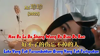 好不了的伤忘不掉的人 - Hao Bu Le De Shang Wang Bu Diao De Ren - AZ 珍珍 - AZ Zhen Zhen (2022)