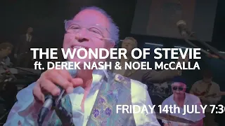 The Wonder of Stevie ft. Noel McCalla & Derek Nash: Jazz on the Lawn Fulham Palace :: Fri 14 July