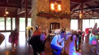 Kryra & Kyle's Wedding Flash Mob at The Pavilion in Rockton