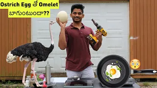 Ostrich Egg Omelette!! || #Usateluguvlogs #Ostritch #Noalfarm