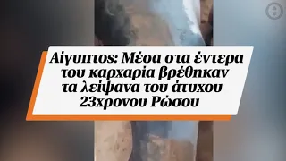 ΠΡΟΣΟΧΗ - ΣΚΛΗΡΕΣ ΕΙΚΟΝΕΣ! Αίγυπτος: Μέσα στα έντερα του καρχαρία βρέθηκαν τα λείψανα του άτυχου...