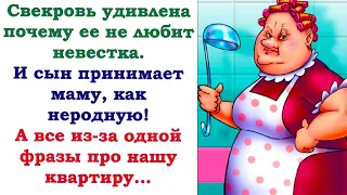 Свекровь не понимает, а чего же ее, такую хорошую, не любит невестка, да и сын с мамой не общается.