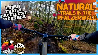 Fresh Cut PFÄLZERWALD Trails // Winter Tour mit @JayRidesTrails // Santa Cruz 5010 v5