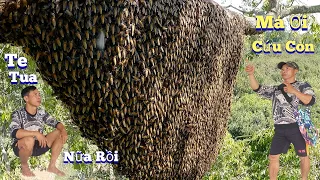 #881.Lần Nầy Điệp Bị 2 Tổ Ong HUNG D.Ữ Đánh Người Đầy Kim. Caught 2 Wicked Beehives Full of Needles