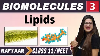 Biomolecules 03 || Lipids || Class 11/NEET || RAFTAAR