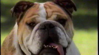 1995 Petsmart "English Bull Dog" TV commercial