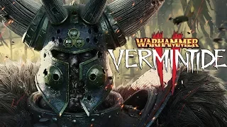 Beginner's Guide to Vermintide 2!