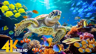 Ocean 4K - Sea Animals for Relaxation, Beautiful Coral Reef Fish in Aquarium (4K Video Ultra HD) #50