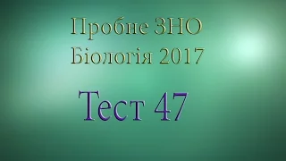 Тест 47