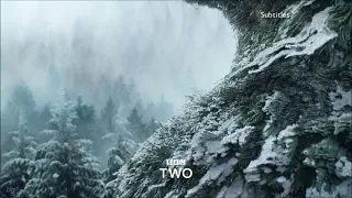 BBC Two Magical ident