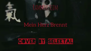 [Rammnsteim Mein Herz Brennt] - [Cover by Selektal]