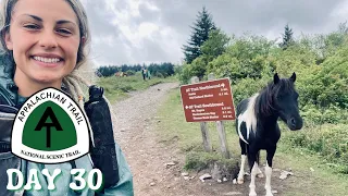 Day 30 | The Grayson Highlands | Appalachian Trail Thru Hike 2021