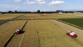 2023年9月3日(株)巴農場稲刈りAir