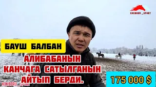 Бауш Балбан: Алибаба 175 000 миң $ га сатылган.