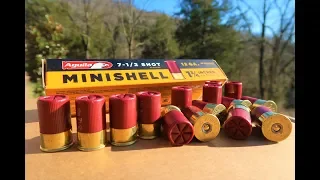 Minishells - Pump Action Shotguns