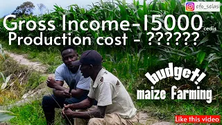 Maize farming in Ghana+  Right season and seeds  + How much you need to start your maize farm.