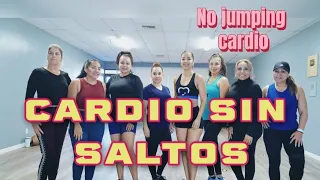 Cardio Sin Saltos / Cardio Quema Grasa