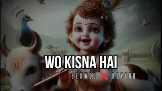 WO KISNA HAI (slowed and Reverd) Jai shree Krishna || Top lo-fi songs..🙏🙏❣️