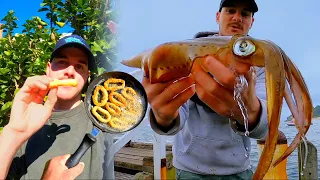 Catch N Cook BIG SQUID - Jetty Fishing