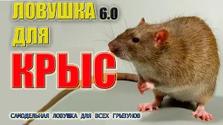 КРЫСОЛОВКА СВОИМИ РУКАМИ 🐀 ЗА 15мин🔓 (ЛОВУШКА ВЕРСИЯ-🅰6.0