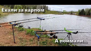 ЛОВИМ КАРАСЯ НА ФИДЕР 2023 | Трофейный карась #рыбалка2023 #фидер #карась #fishing #рыбалкасдругом