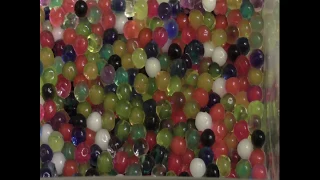 Orbeez Time Lapse (Growing)