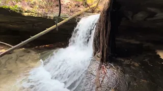 Big South Fork- Root Falls, Joy Falls, Née High Arch, Awesome Overlook Along the John Muir Trail