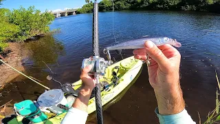 Unexpected River Monster Eats This Plug - Florida Kayak Fishing