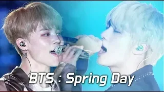 180622 BTS   봄날 Spring Day   LED FANCAM   LOTTE FAMILY CONCERT 2018   방탄소년단 防弾少年団