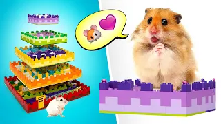 Jak zrobić najfajniejszy labirynt dla chomika || FUN DIY!🐹🐀