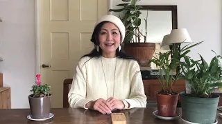 植物の音楽デバイス・Bamboo How to use/使い方動画（初級編）