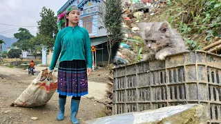 Poor 17-year-old girl in the midst of poverty, still full of love: rescuing kittens from the yard