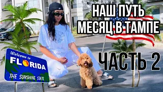 МЕСЯЦ СПУСТЯ, ТАМПА, ФЛОРИДА . НАШИ АПАРТАМЕНТЫ , ШКОЛА , КАК ВЕЗЛИ СОБАКУ