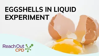 Lesson Idea: Eggshells in Liquids Experiment | Reach Out CPD