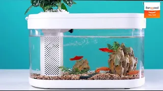 Xiaomi Youpin Fish Tank Smart Feeder With App Control - Banggood New Tech