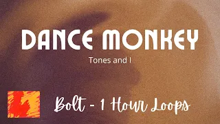Dance Monkey  - Tones and I - 1 Hour - Lyrics