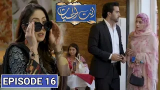 Ant Ul Hayat Episode 16 Promo | Ant Ul Hayat Episode 17 Review | Ant Ul Hayat Episode 16 Teaser