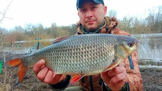 БАТОНИСТА ПЛІТКА КЛЮЄ ДУПЛЕТАМИ. Рибалка на фідер весною