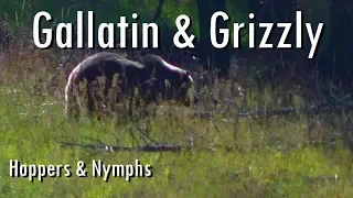WBD - Fly Fishing Yellowstone & Montana  Gallatin & Grizzly