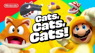 Cat Ears Here, There... EVERYWHERE?! 🤯 | All About Cat Mario Ep 3 | @playnintendo